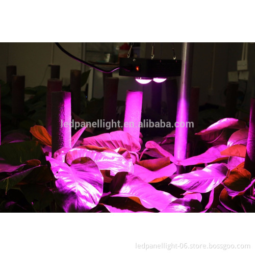 COB LED Grow light full spectrum plant light for hydroponic indoor plant Veg & Bloom black